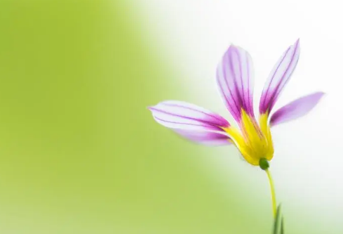 1691668382133420.png image.png