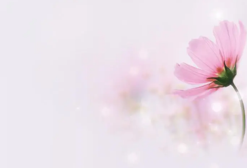 1691668549286333.png image.png