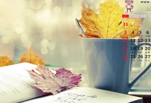 1691670044948248.png image.png