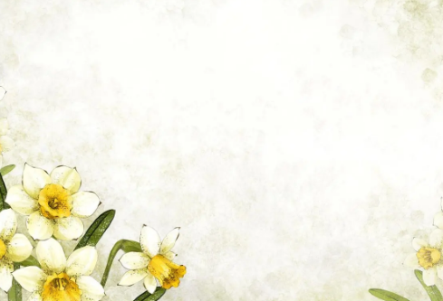 1691670377839205.png image.png