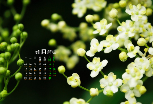 1691670709487119.png image.png