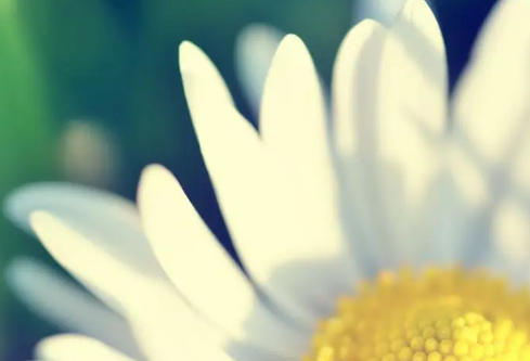 1691671872636526.png image.png
