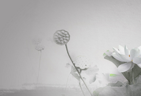 1691672204300576.png image.png