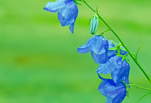 1691673699117842.png image.png
