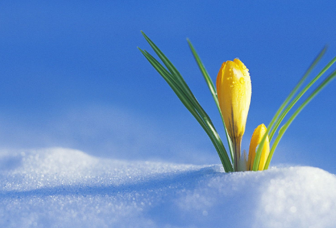 1691675195140176.png image.png