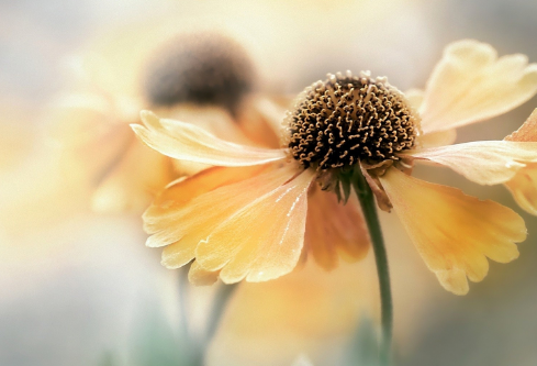 1691678310961114.png image.png