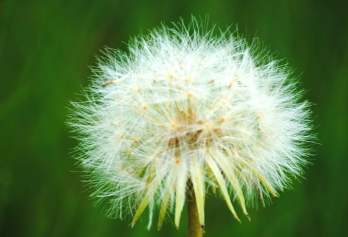 1691678905162057.png image.png