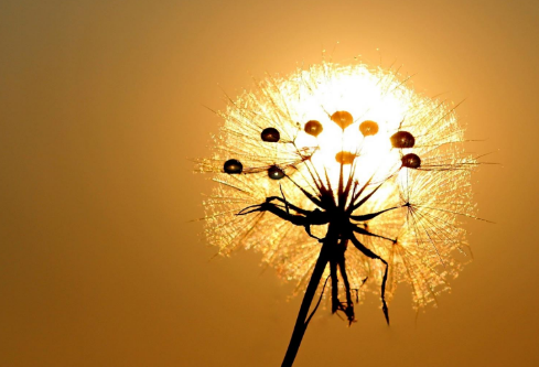 1691680570150051.png image.png