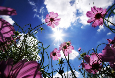 1691681573984610.png image.png