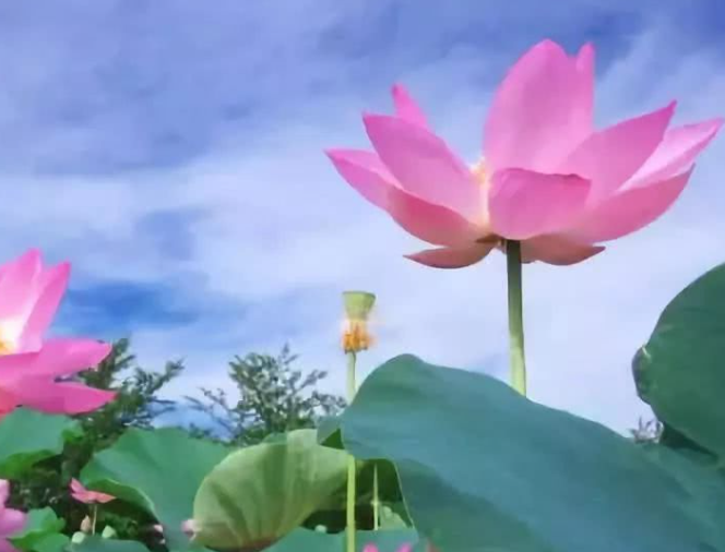 1691684264126560.png image.png