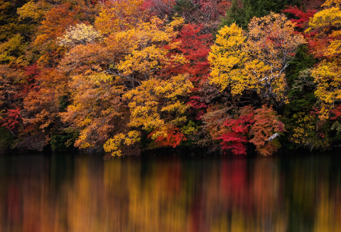 1691685039108366.png image.png