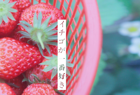 1691685961918169.png image.png