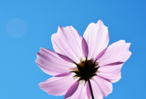 1691730077115492.png image.png