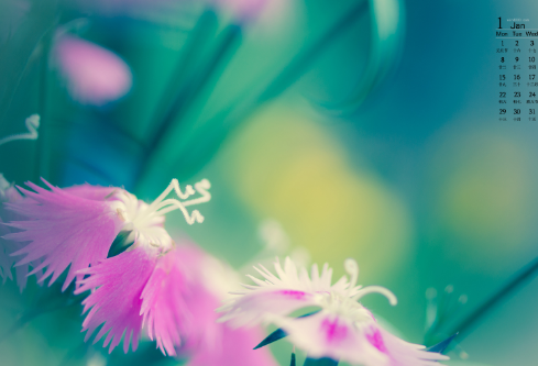 1691733128373687.png image.png