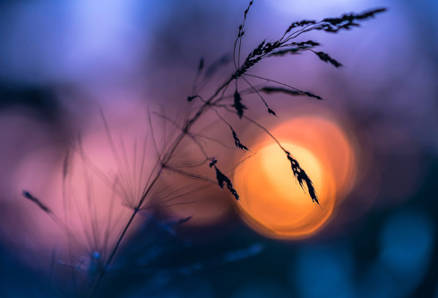 1691735508531743.png image.png