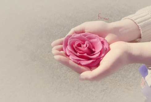 1691736106830169.png image.png