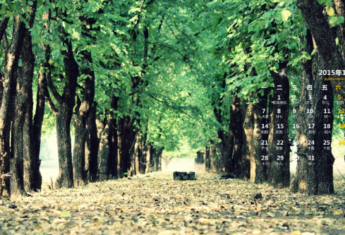 1691737038264731.png image.png