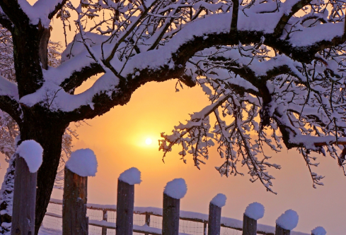 1691737901259825.png image.png