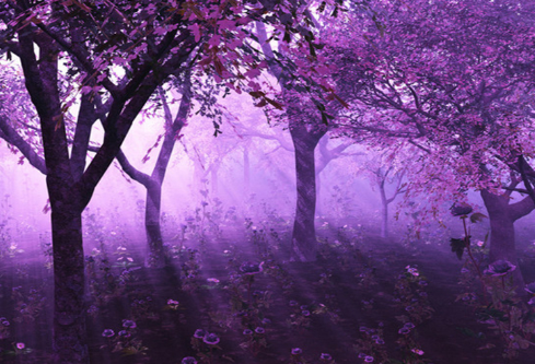 1692742564101813.png image.png
