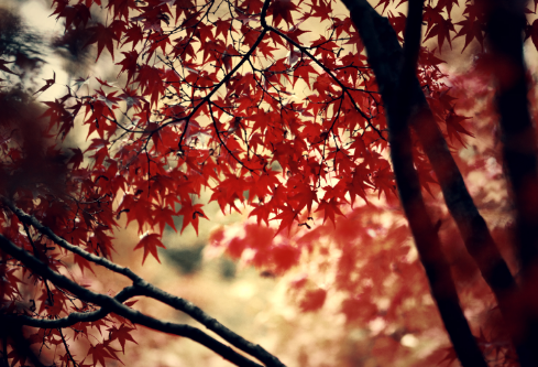 1692743395277684.png image.png