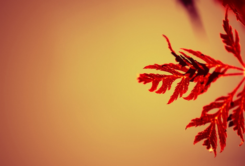 1692749872801466.png image.png