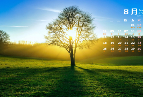 1692750703430532.png image.png