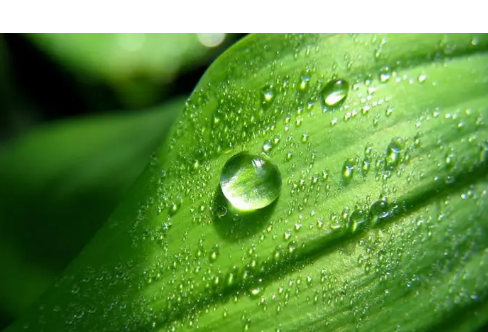 1714056227140851.png image.png