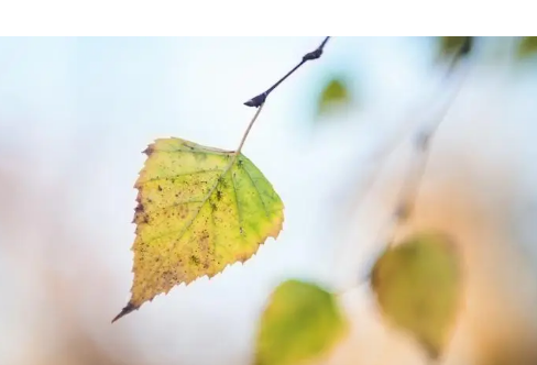 1714057395220580.png image.png
