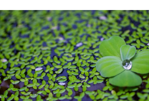 1714058064566040.png image.png