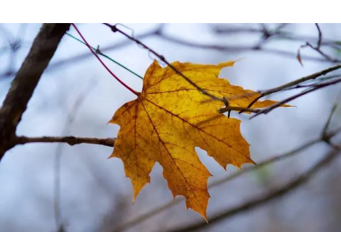 1714059065357680.png image.png