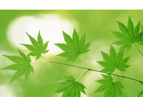 1714060733558466.png image.png