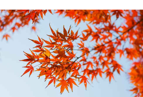 1714063235623659.png image.png