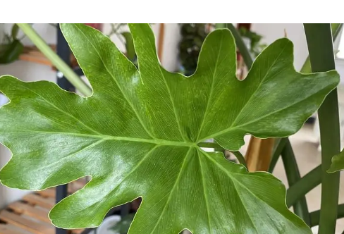 1714066405135976.png image.png