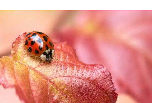 1714068075696125.png image.png