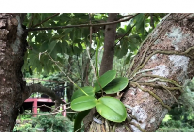 ​坦克世界个性游戏名字冷酷帅气（比较有个性的坦克世界个性游戏名字）