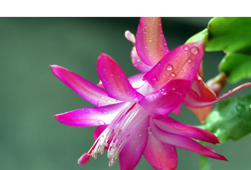 1714068742566556.png image.png