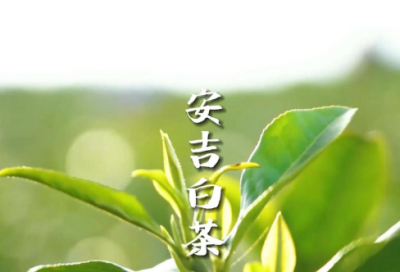 ​霸气八字游戏名字简短好听（稀少好听的霸气八字游戏名字）