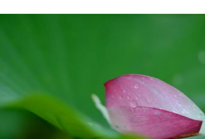 ​qq三国霸气的游戏名字免费（霸气qq三国霸气的游戏名字）