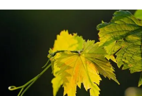 1714073247513756.png image.png