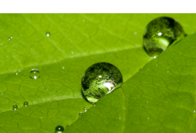 ​酷到不行的游戏人物名字（干货整理）