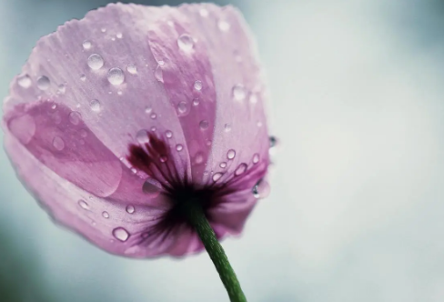 1714141969776121.png image.png