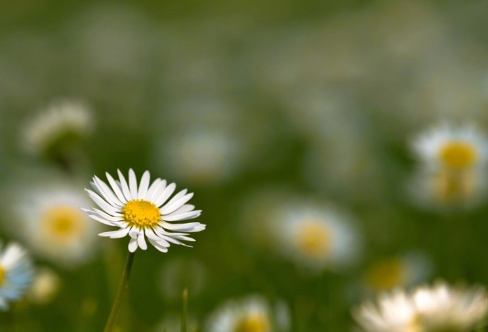 1714147302107678.png image.png