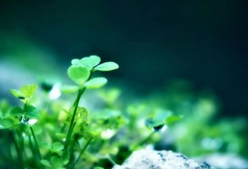 1714148300430576.png image.png