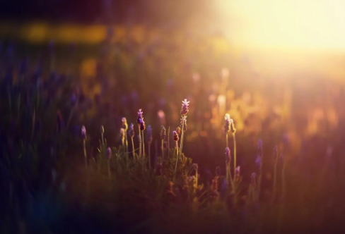 1714150965920535.png image.png