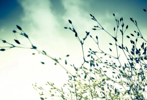 1714152963179743.png image.png